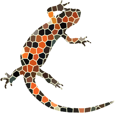 Dr. B's firebelly newt image