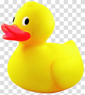 a yellow rubber duck